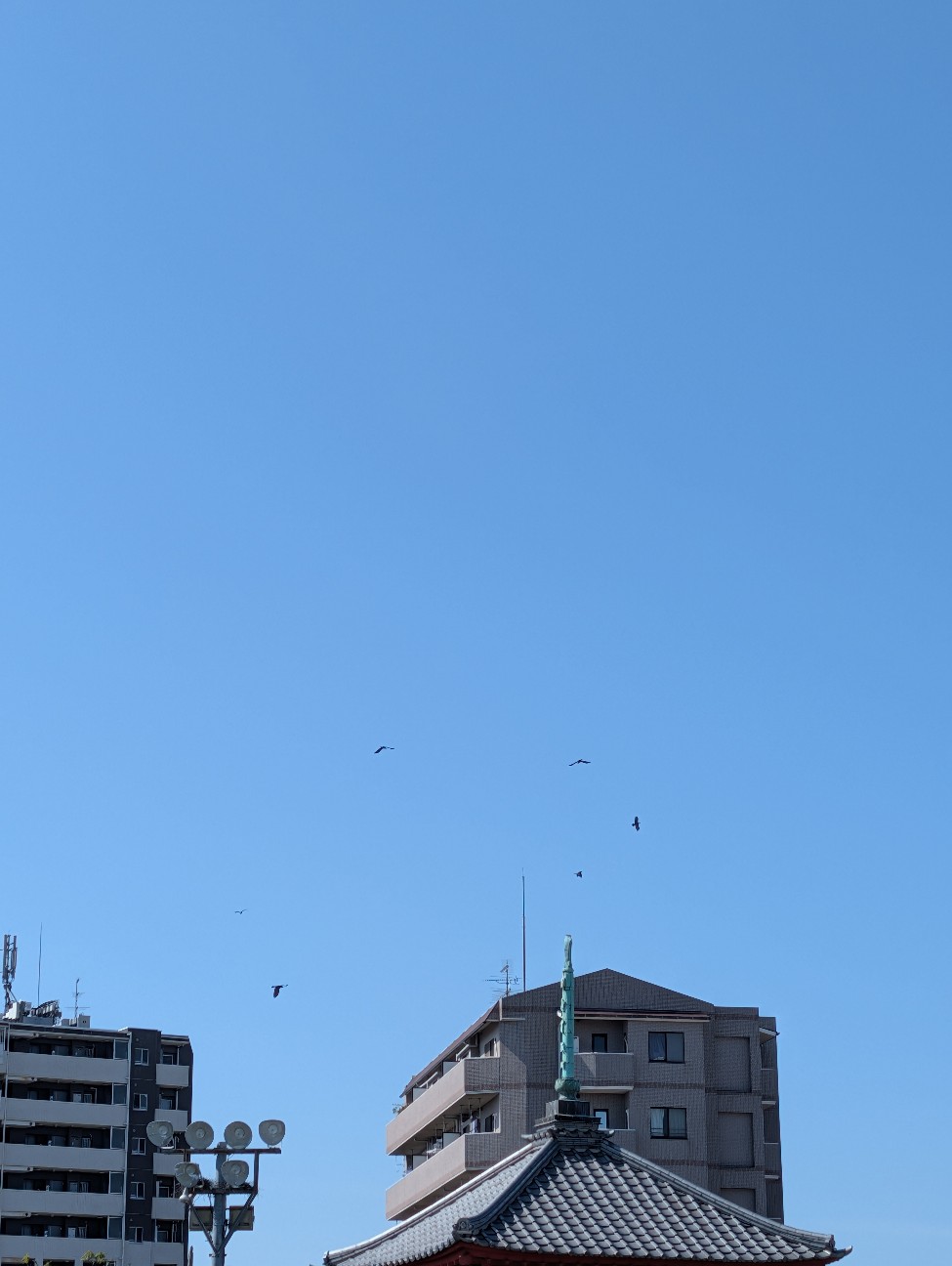 f:id:Pygmalionism00:20260403203252j:image