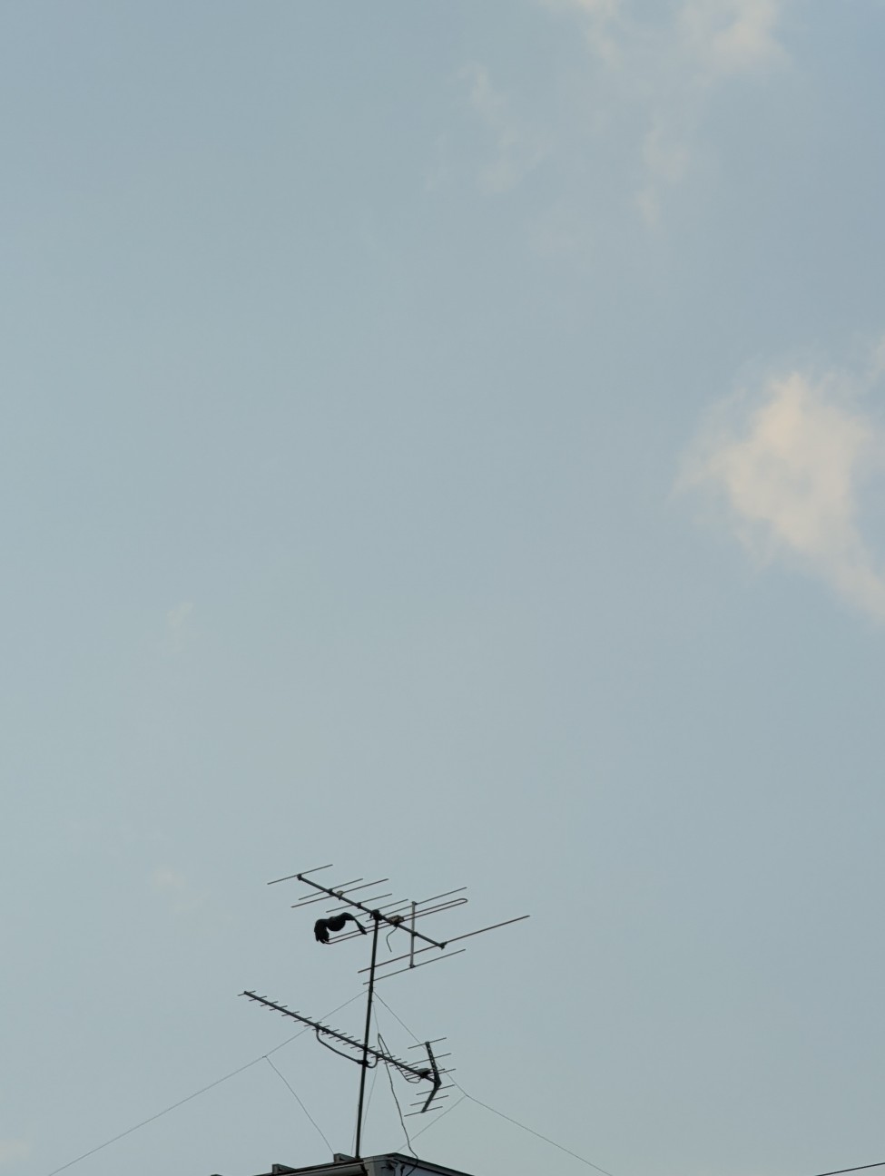 f:id:Pygmalionism00:20260414204443j:image