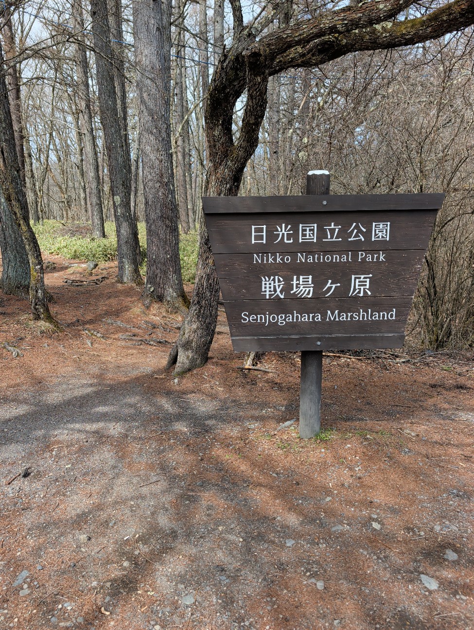 f:id:Pygmalionism00:20260419212423j:image