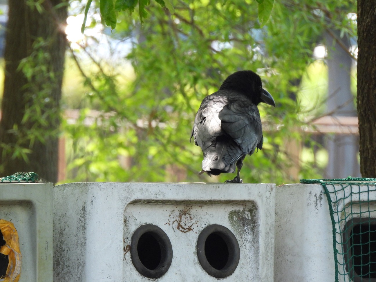 f:id:Pygmalionism00:20260426202000j:image