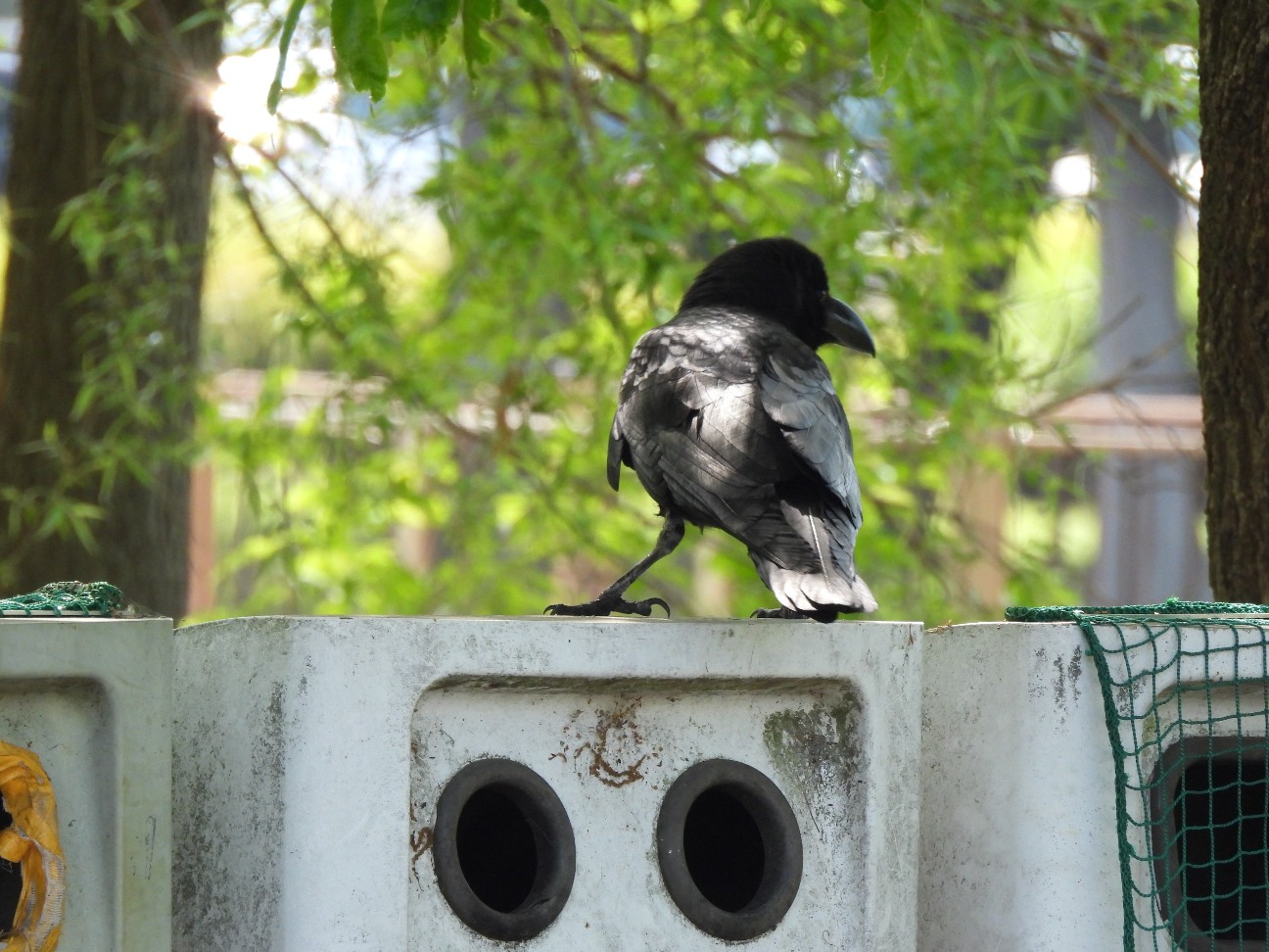 f:id:Pygmalionism00:20260426202002j:image