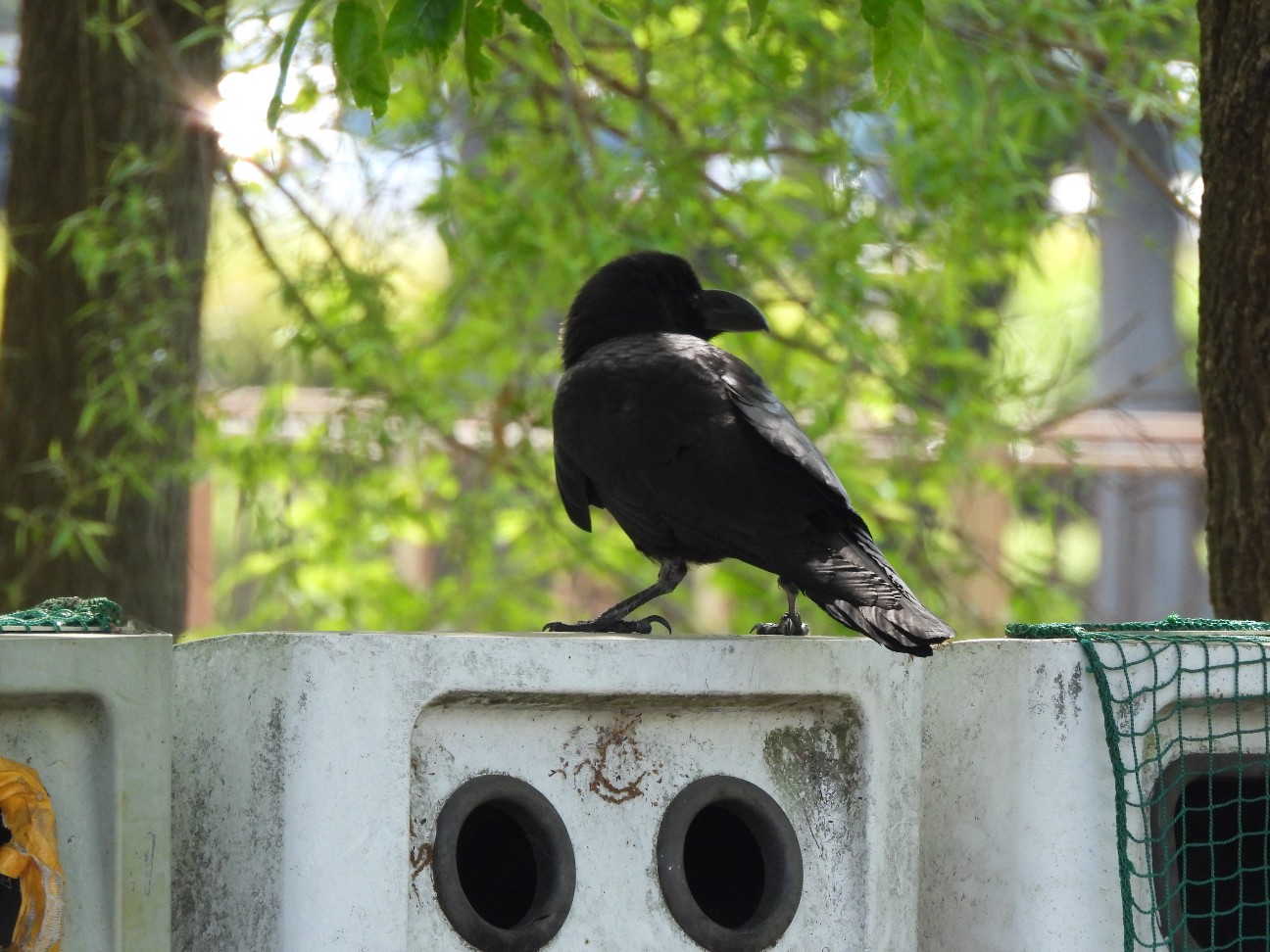 f:id:Pygmalionism00:20260426202003j:image