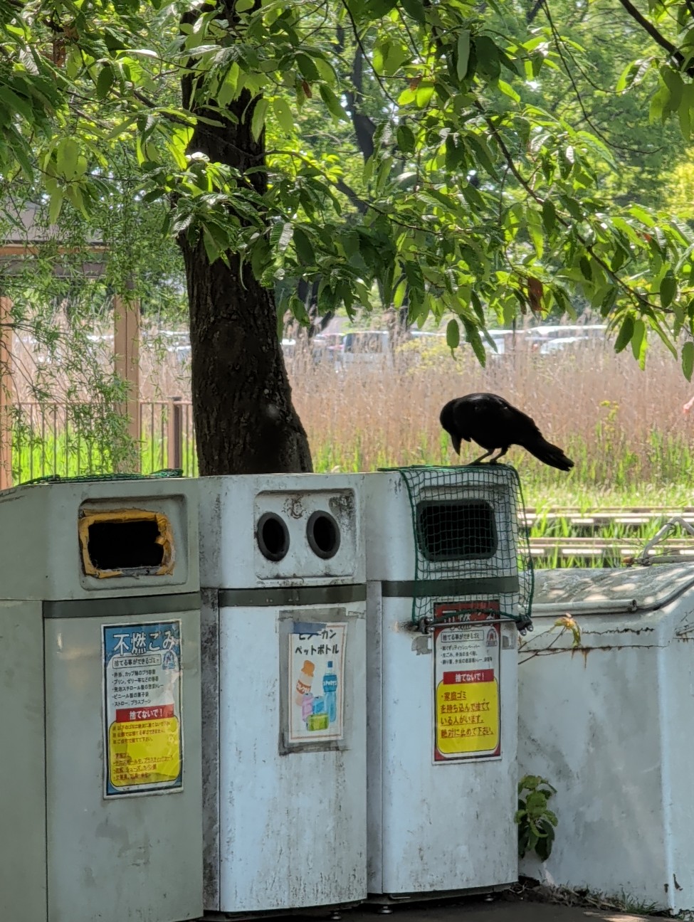 f:id:Pygmalionism00:20260426202018j:image