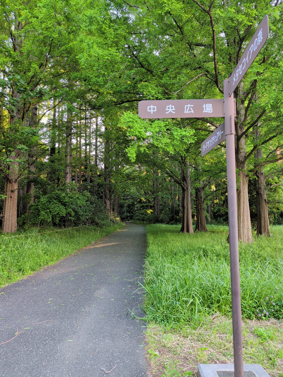 f:id:Pygmalionism00:20260506195407j:image