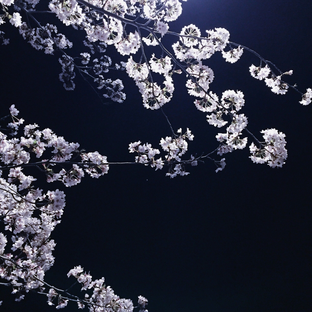 f:id:Q-TARO:20160406233626j:plain