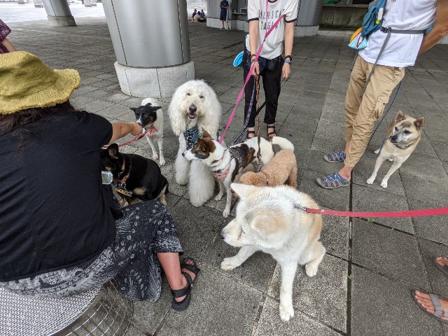 f:id:Q-UPDOG:20210917100128j:image
