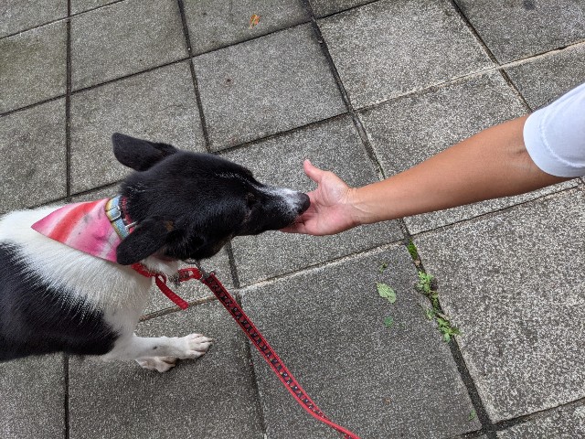 f:id:Q-UPDOG:20210917100416j:image