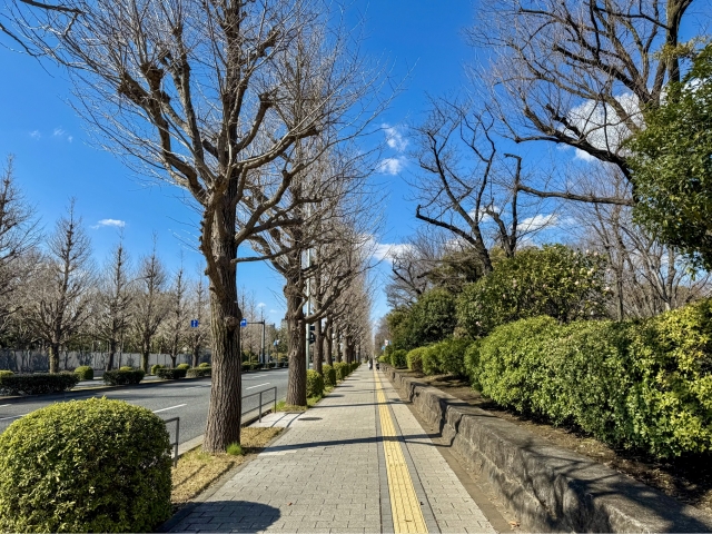 関連記事でさらに深めましょう