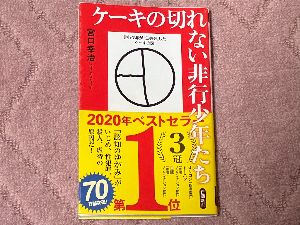 ケーキの切れない非行少年たち 表紙 宮口幸治