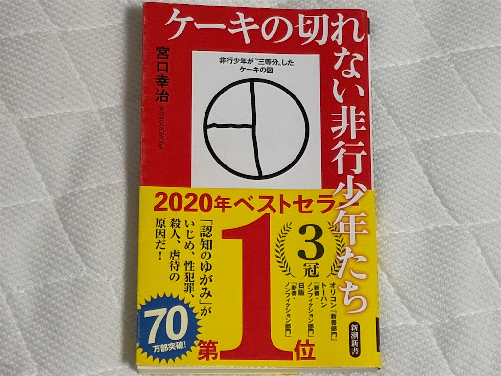 ケーキの切れない非行少年たち 書籍表紙 宮口幸治