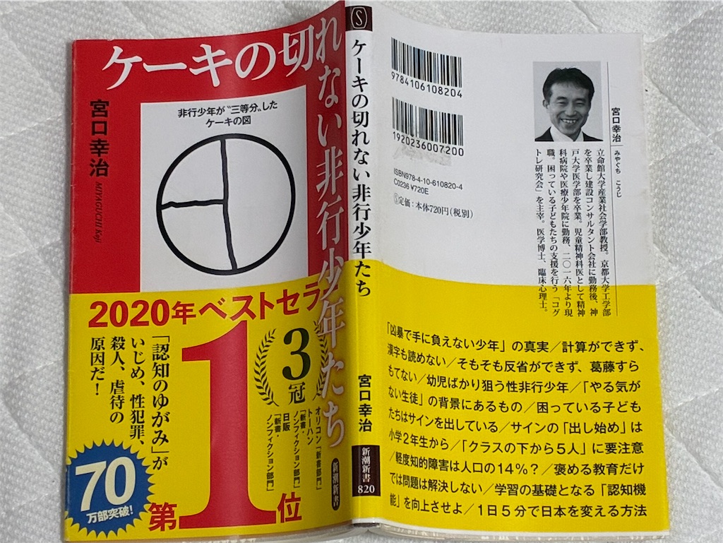 ケーキの切れない非行少年たち 表紙 実行機能解説