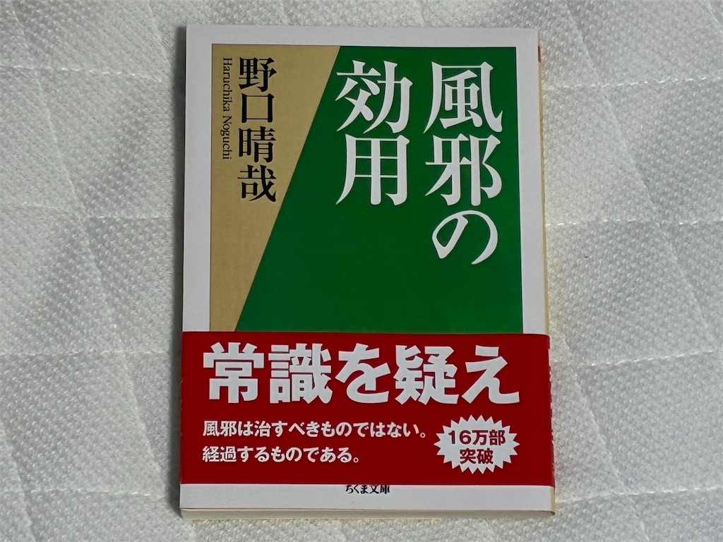 野口晴哉『風邪の効用』表紙 - 風邪を自然のシグナルとして捉える整体の名著