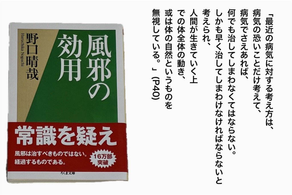 『風邪の効用』P40引用 - 現代の病気観を批判し、自然な経過を重視する野口晴哉の視点