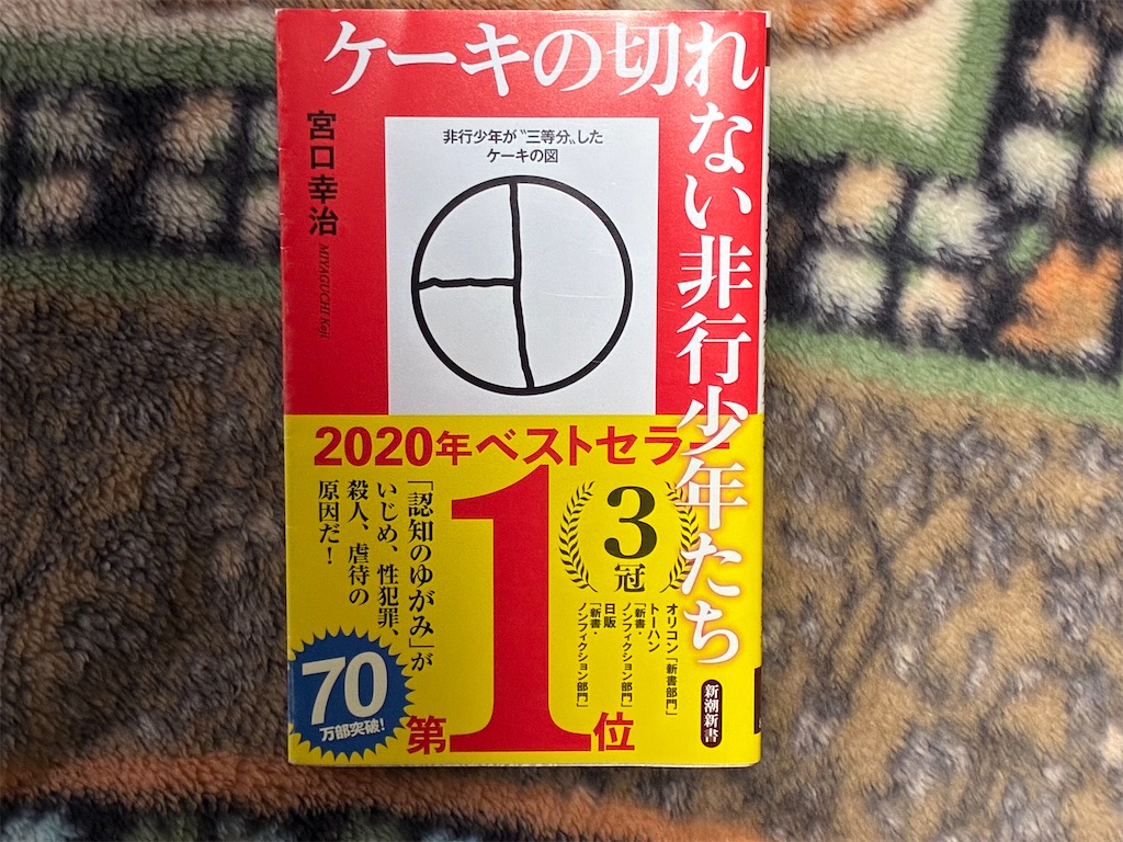 宮口幸治 ケーキの切れない非行少年たち 表紙
