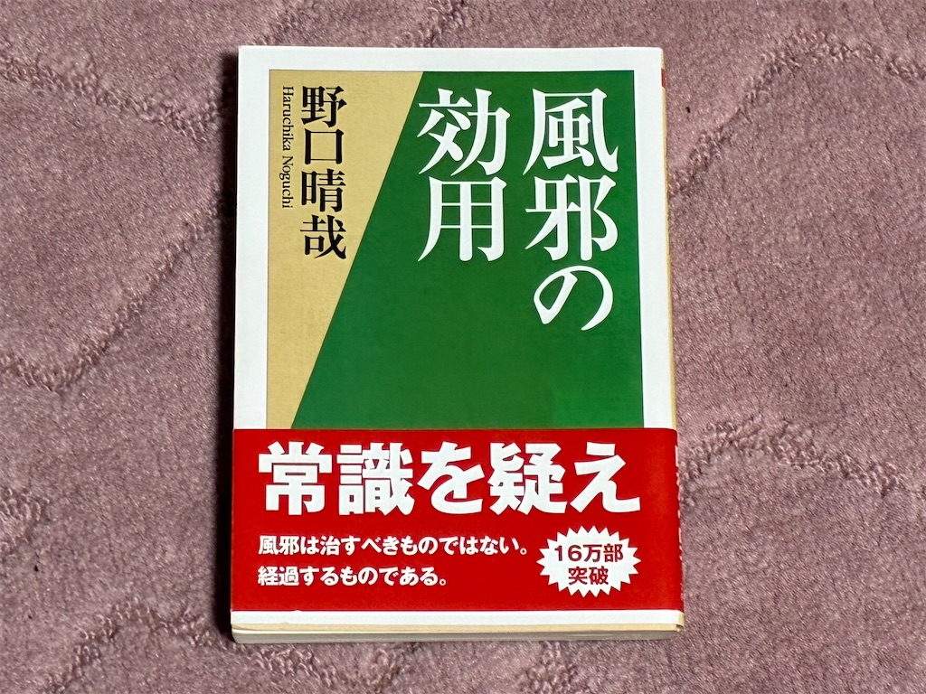 野口晴哉　風邪の効用　人間　表紙　理由　風邪