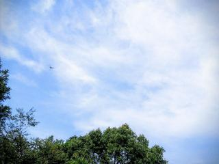 f:id:QHHT:20170621135753p:plain