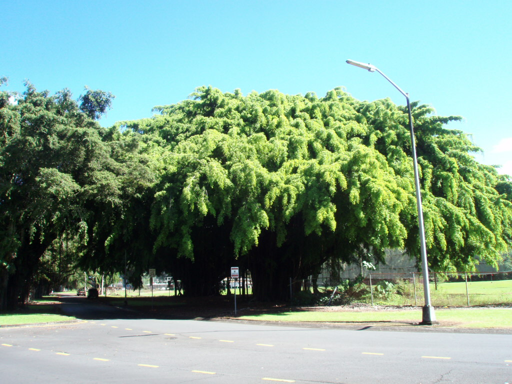 f:id:QHHT:20190105201423j:plain