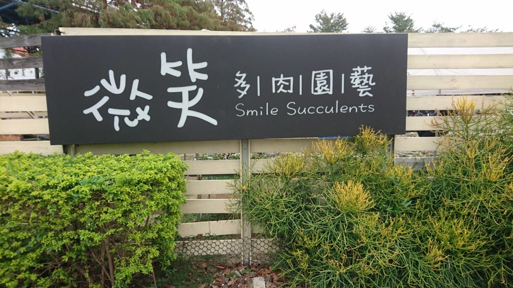 f:id:QINGSHUI:20190121154950j:plain