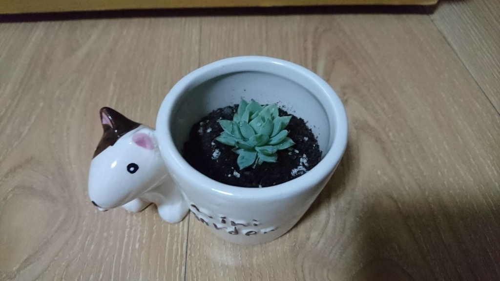 f:id:QINGSHUI:20190121171215j:plain