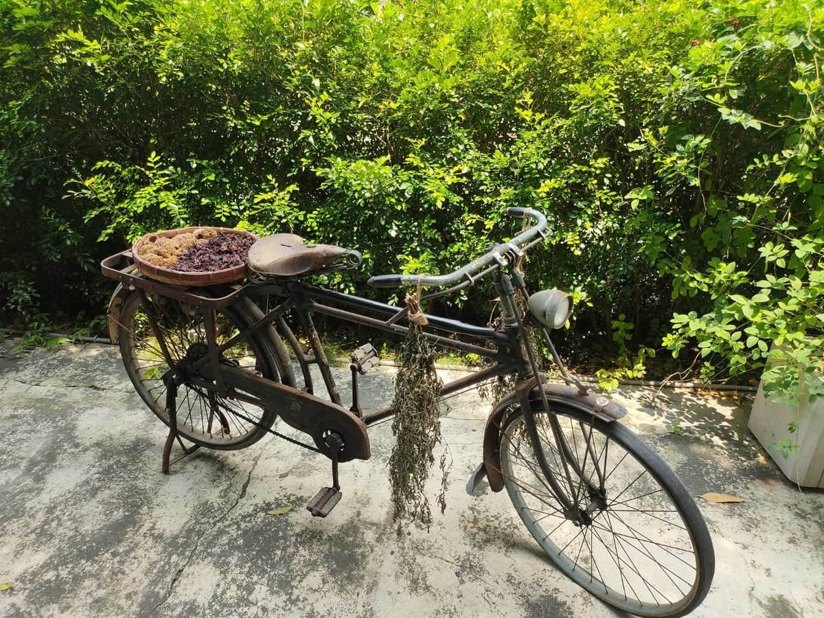 f:id:QINGSHUI:20190617122836j:plain f:id:QINGSHUI:20190617122836j:plain