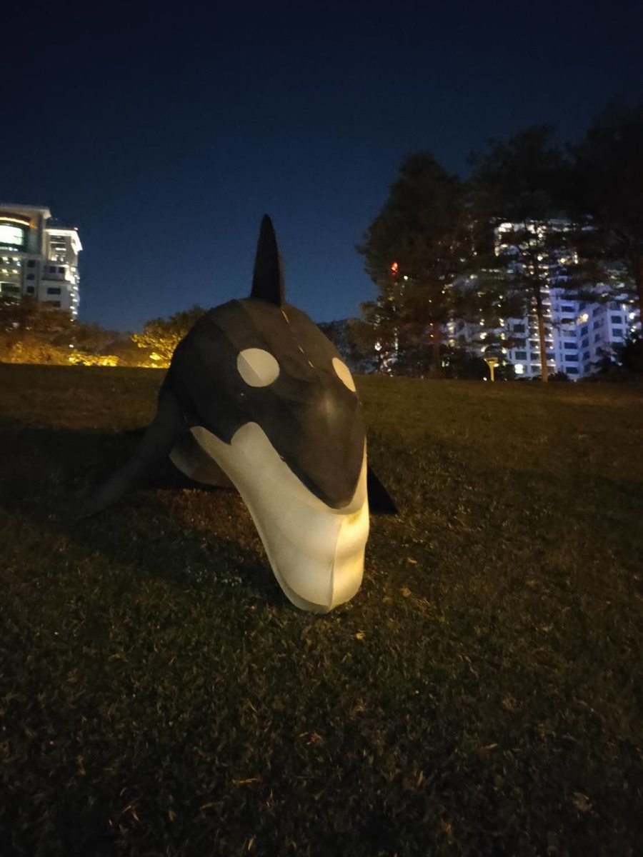 f:id:QINGSHUI:20191220173948j:plain f:id:QINGSHUI:20191220173948j:plain
