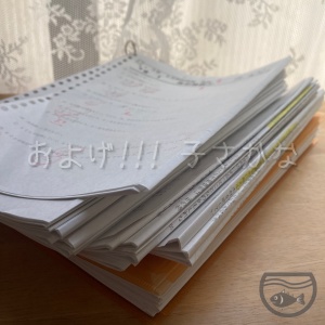 四谷大塚】 夏期講習 小5 8月特訓 - およげ!!! 子さかな 〜 母の学び 〜