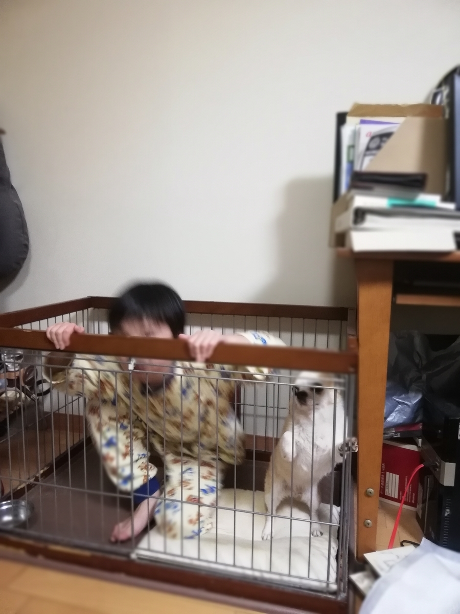 f:id:QUADRIFOGLIO:20190428211558j:plain