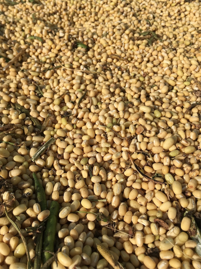 f:id:QUATRE:20191002062650j:image