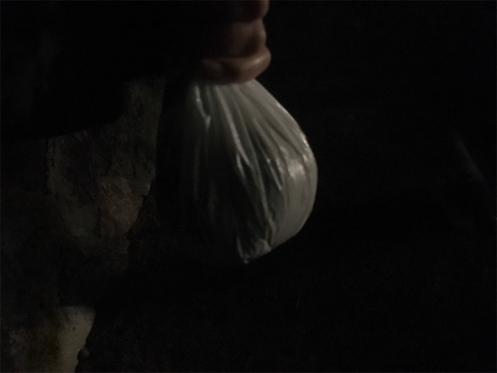 f:id:QUATRE:20191108093612j:image