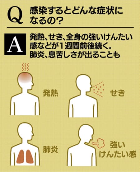 f:id:QUATRE:20200224120225j:plain f:id:QUATRE:20200224120225j:plain
