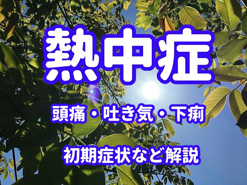 f:id:QUATRE:20200807111204j:plain