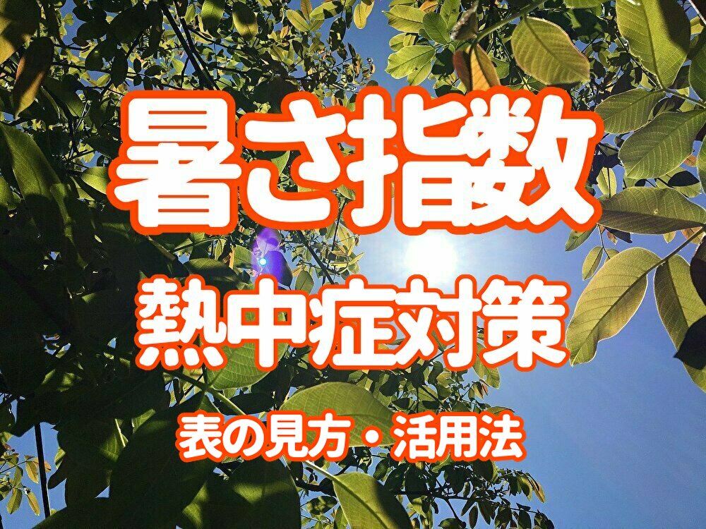f:id:QUATRE:20200807183413j:plain f:id:QUATRE:20200807183413j:plain