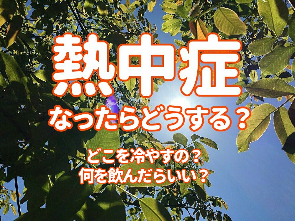 f:id:QUATRE:20200810131956j:plain f:id:QUATRE:20200810131956j:plain