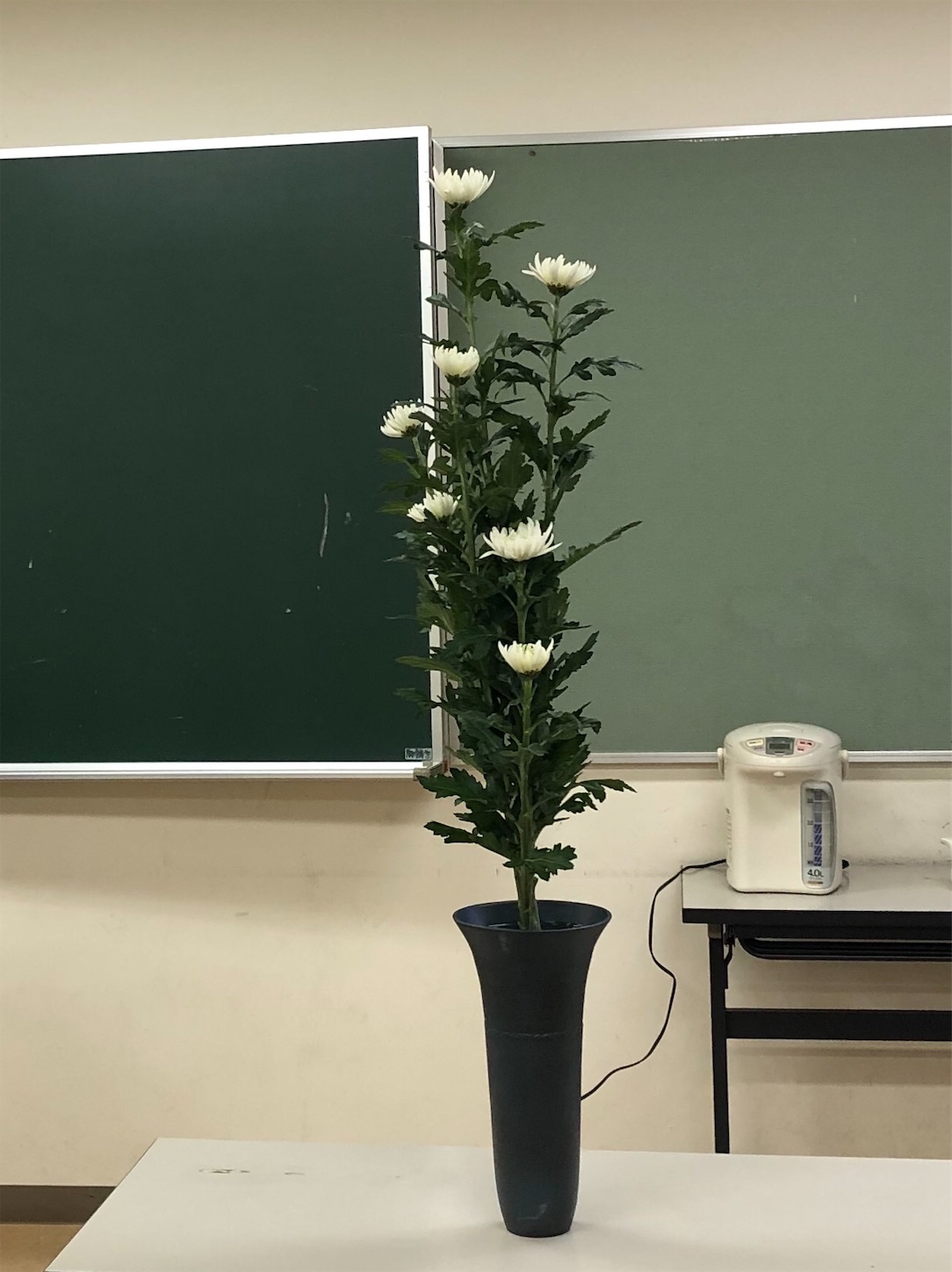 一種生 菊の生花 池坊 Queen 50th Anniversary