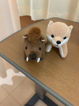 f:id:Qingum:20191214171707j:plain