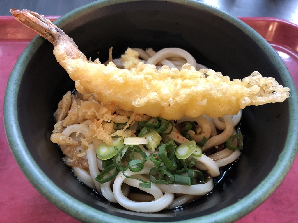 f:id:Qlioplus3374:20190228102643j:plain