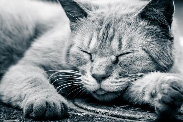 f:id:Qlioplus3374:20190511105440j:image