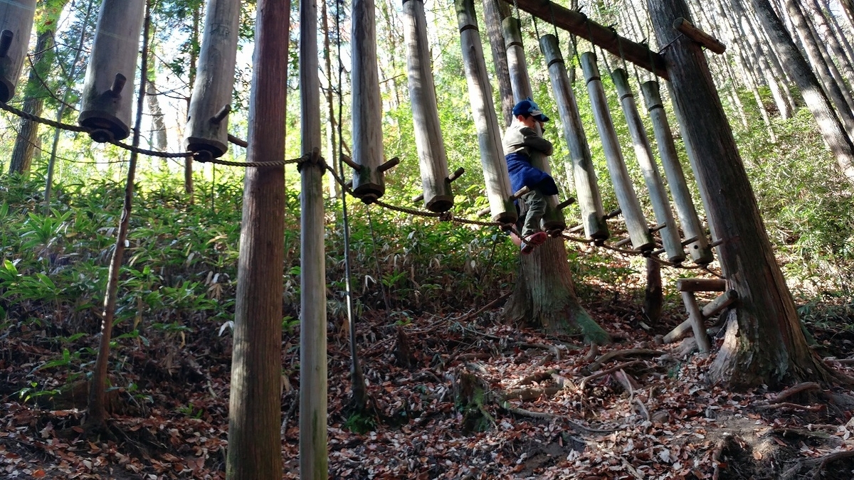 奈良県奈良市 奈良県立野外活動センター Sasuke顔負けの本格アスレチック 子育てqピーの お出かけスポット3分レビュー