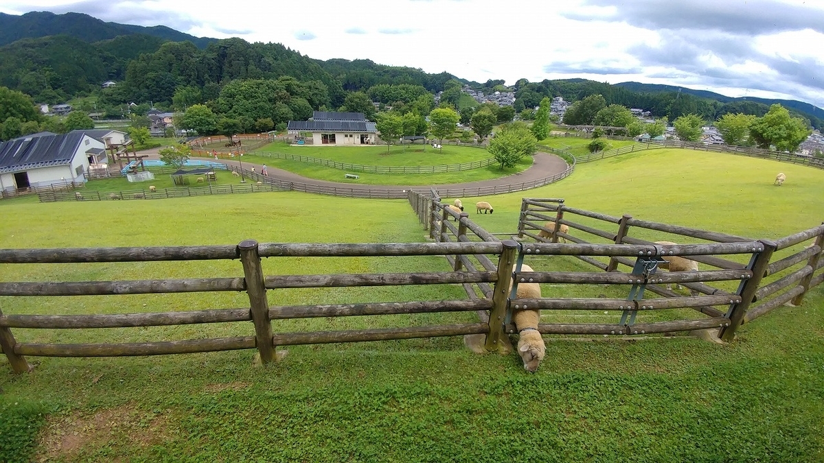 f:id:Qpkowa:20201225171038j:plain