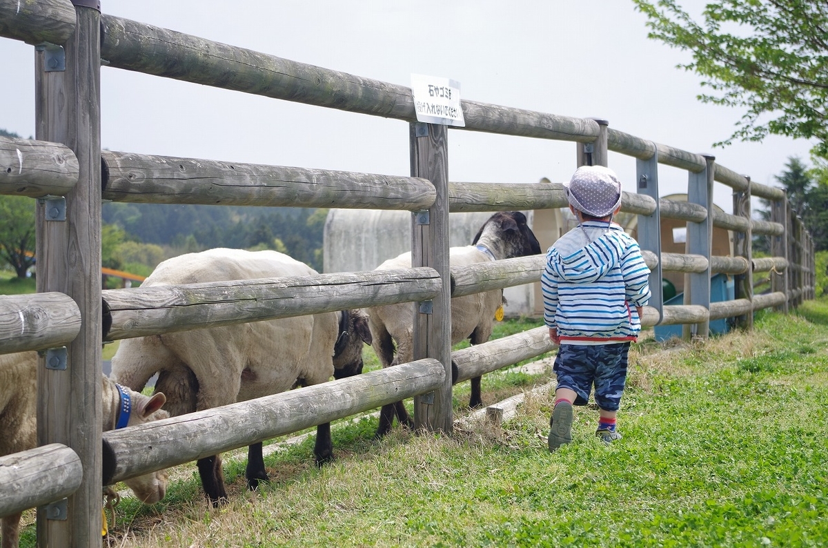 f:id:Qpkowa:20201225171050j:plain