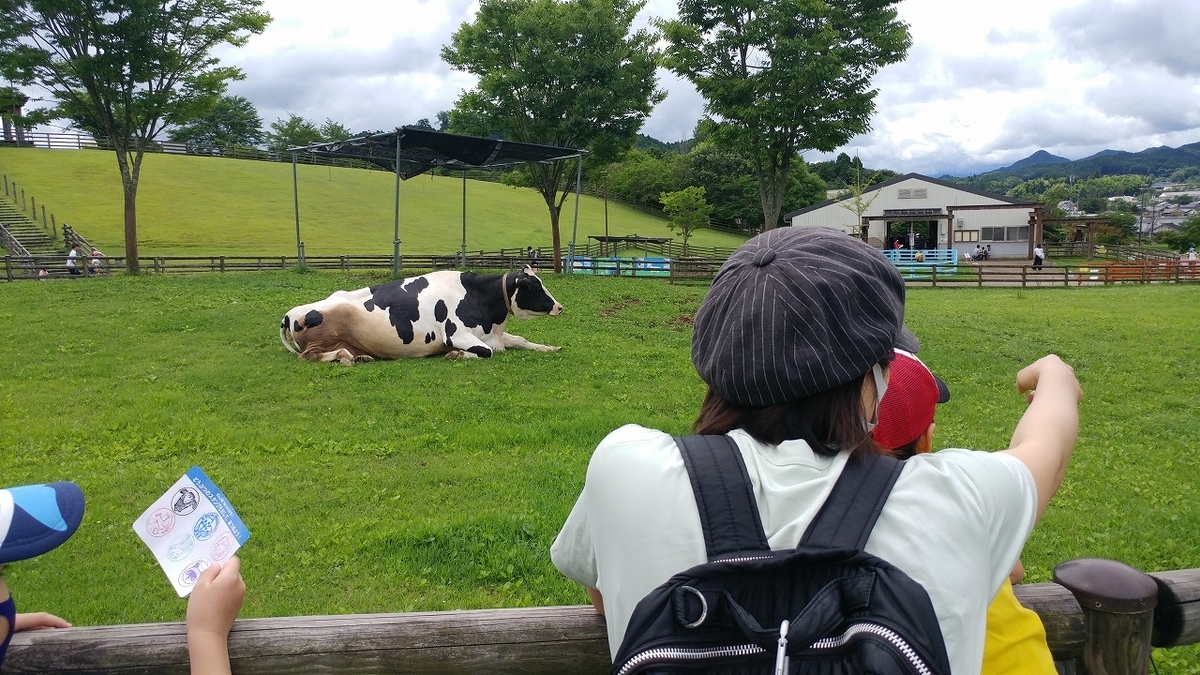 f:id:Qpkowa:20201225171102j:plain