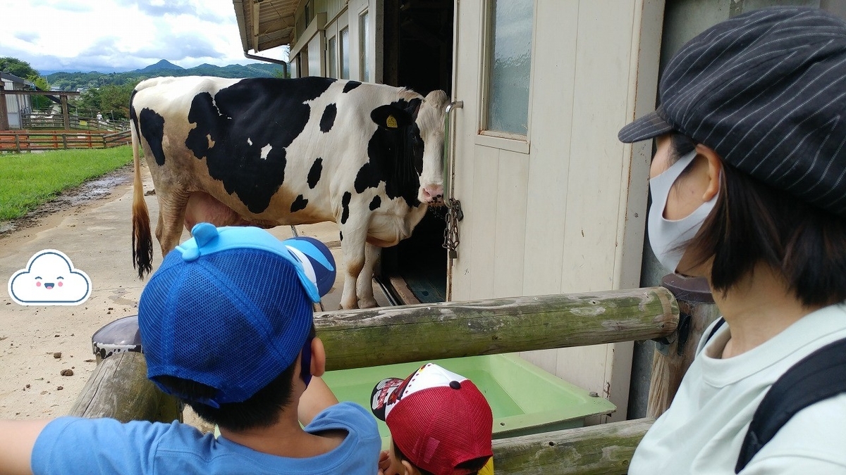 f:id:Qpkowa:20201225171123j:plain