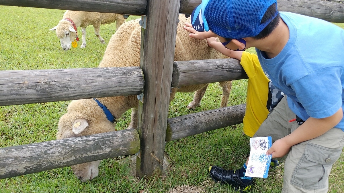 f:id:Qpkowa:20201225171130j:plain