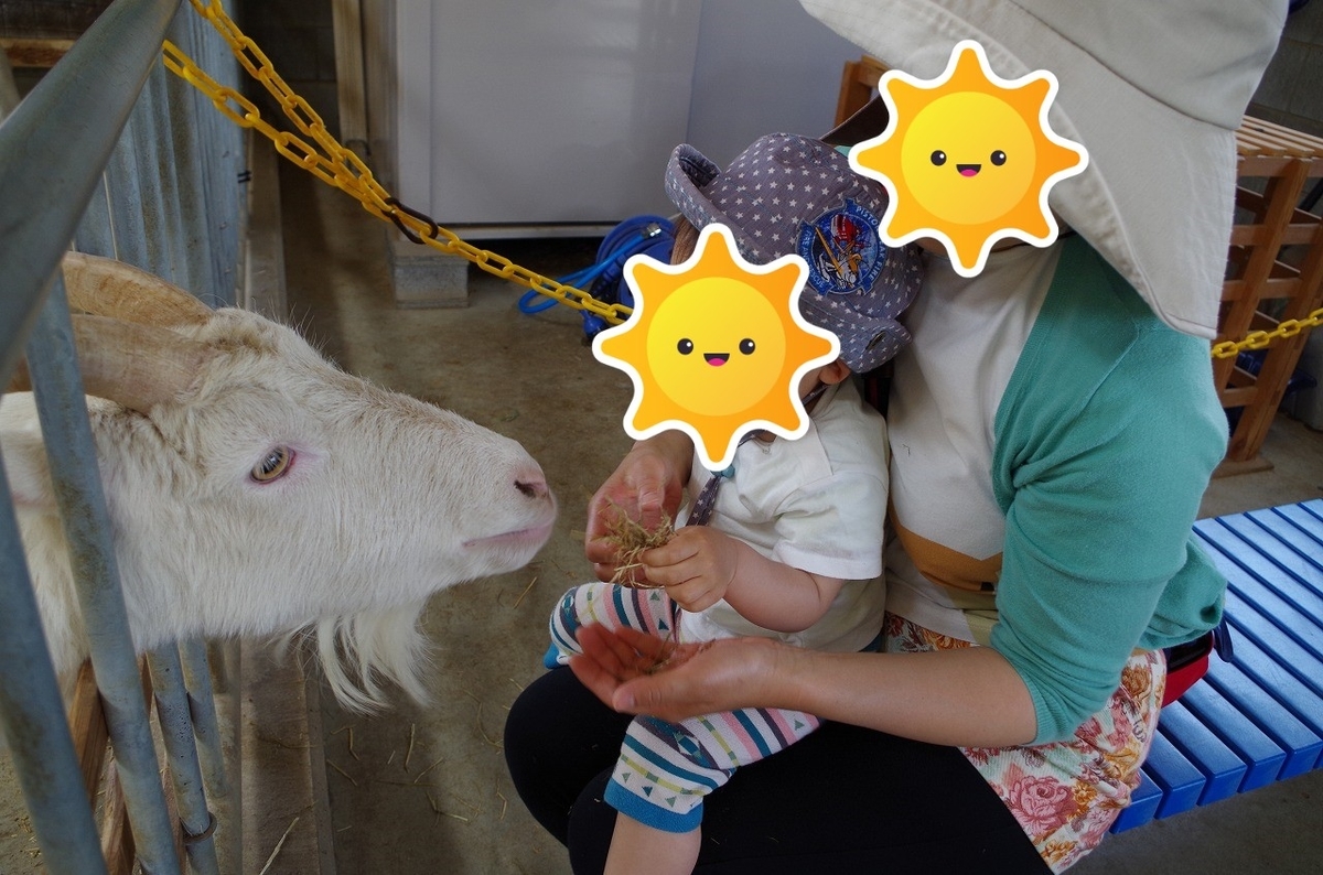 f:id:Qpkowa:20201225171137j:plain