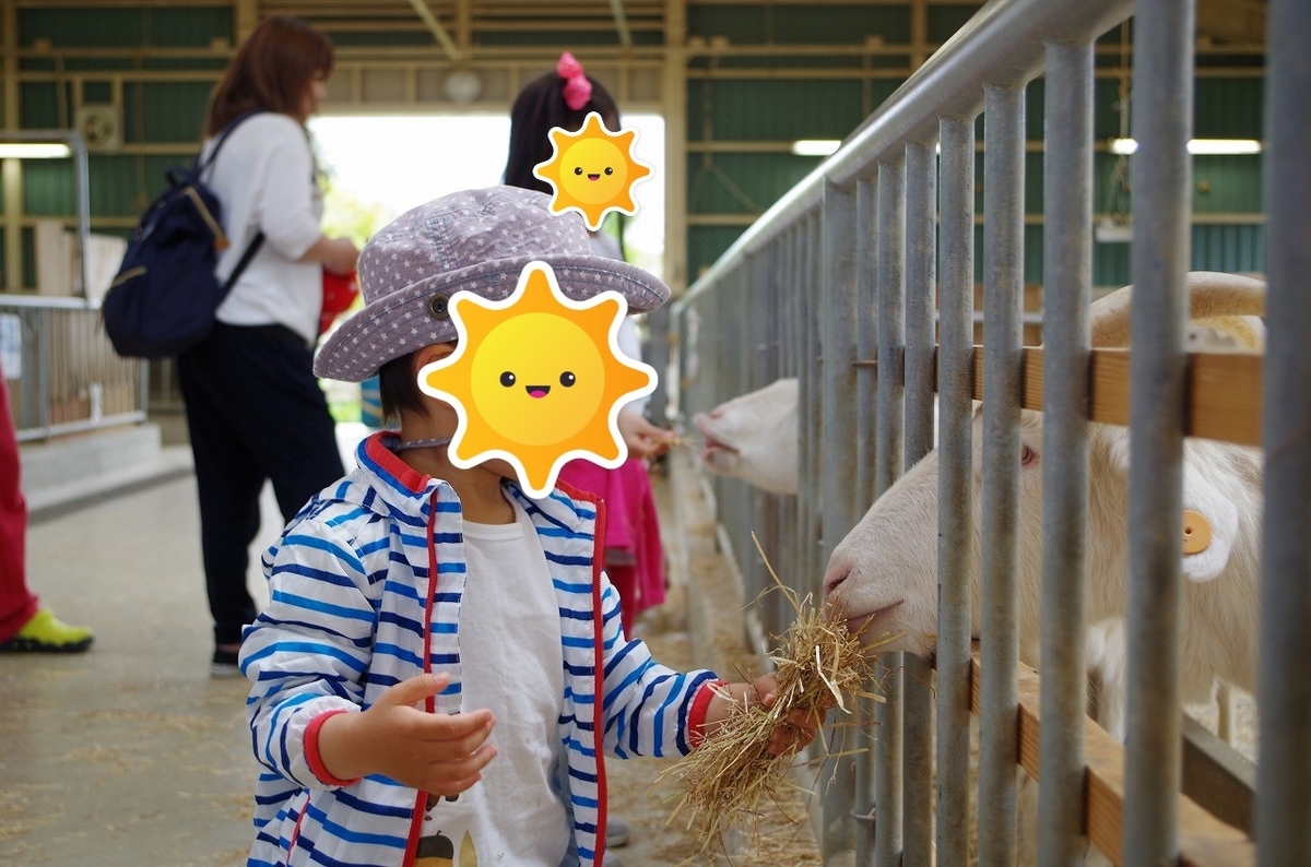 f:id:Qpkowa:20201225171209j:plain