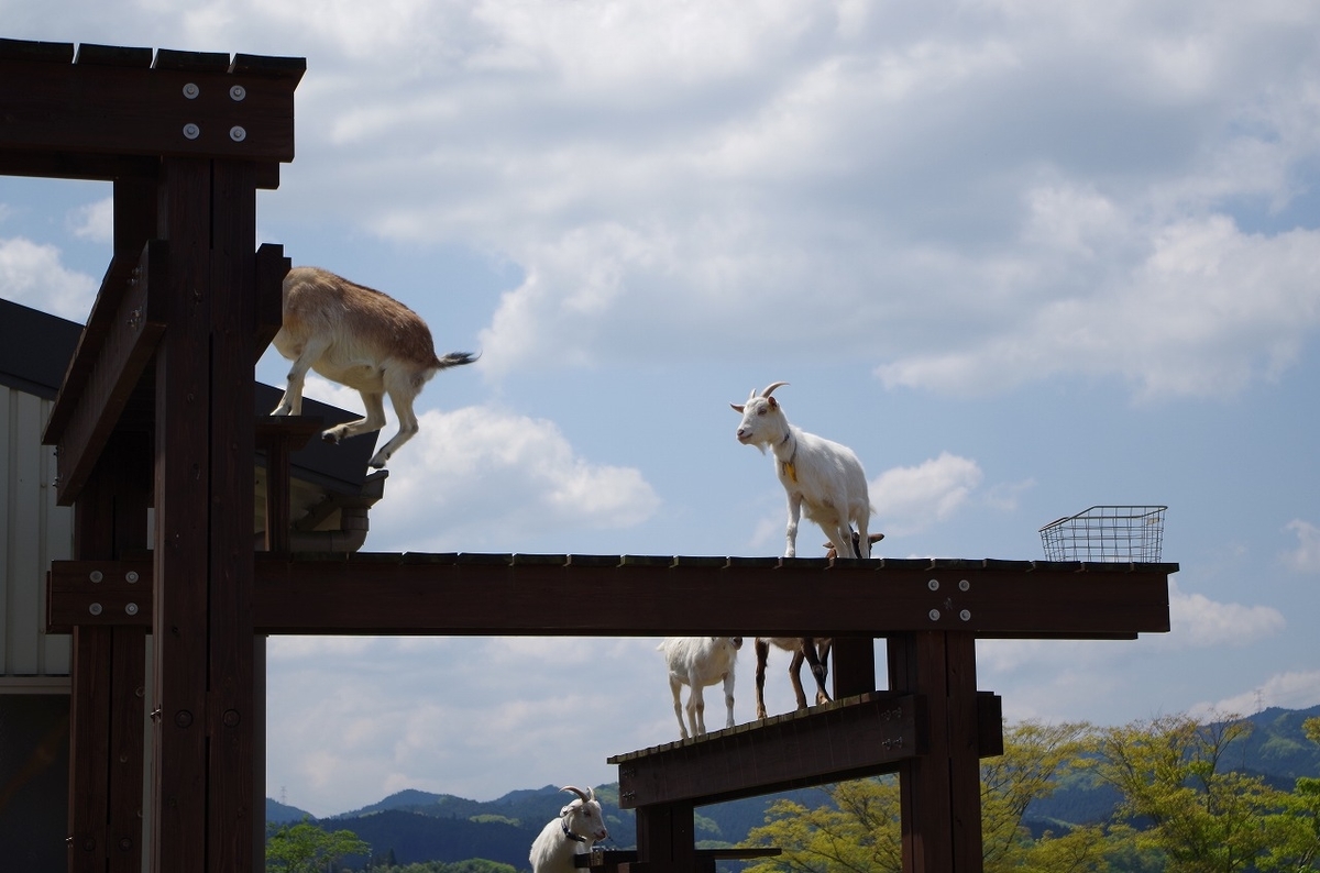 f:id:Qpkowa:20201225171214j:plain