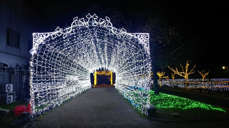 f:id:Qpkowa:20210102214317j:plain