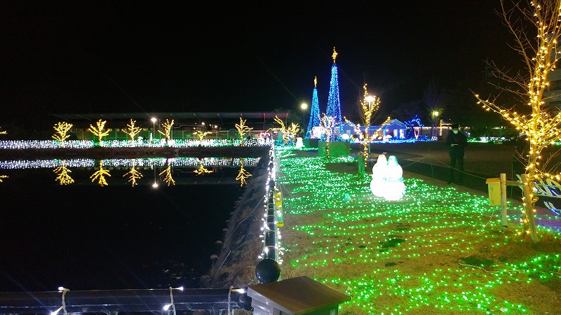 f:id:Qpkowa:20210102214323j:plain