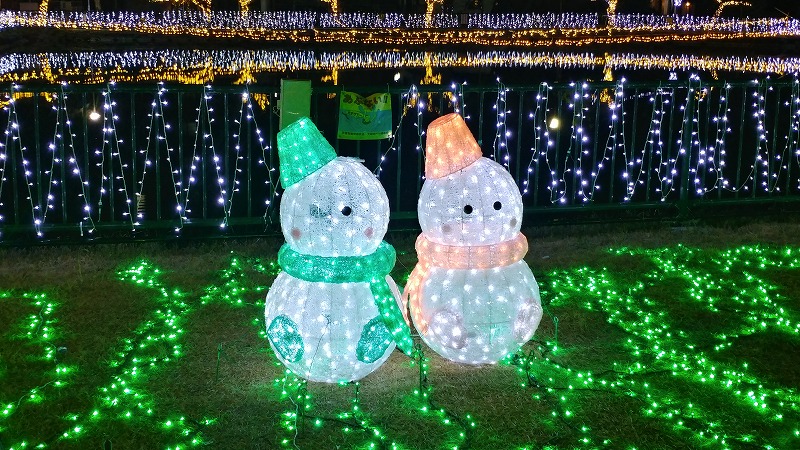 f:id:Qpkowa:20210102214344j:plain