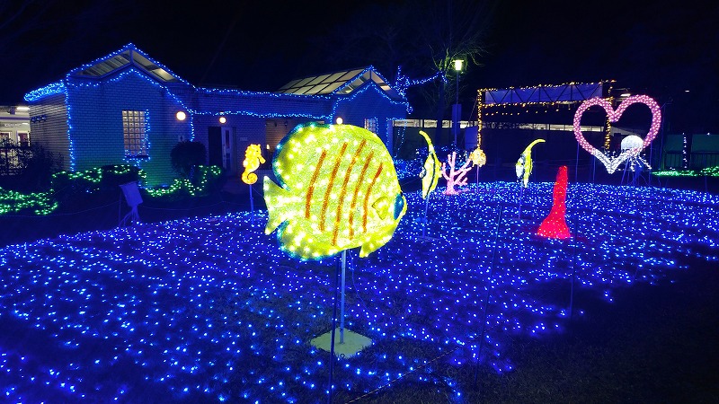 f:id:Qpkowa:20210102214357j:plain